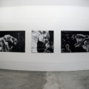 Public Provocations IV